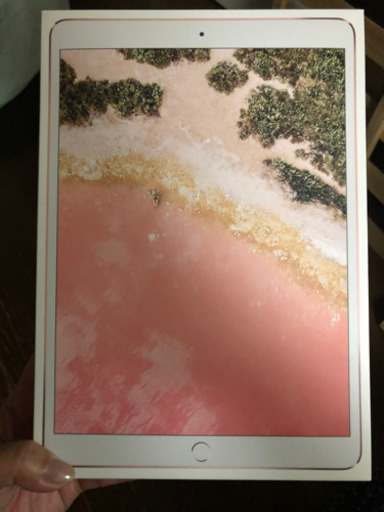 iPad Pro 10.5 （商談中）