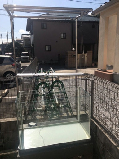 テトラ水槽セットで引き取り限定