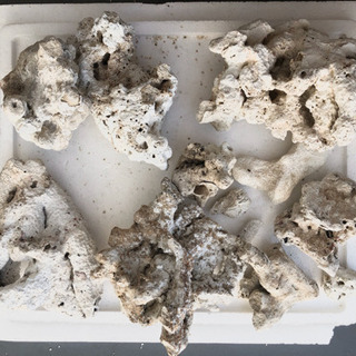 サンゴ岩 サンゴ砂 ろ材 ぎん 名古屋のその他の中古あげます 譲ります ジモティーで不用品の処分