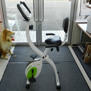 アルインコ プログラムバイク6117 AFB6117 フィットネスバイク エアロ