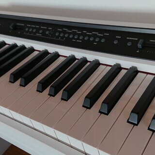 電子ピアノ KORG LP-350WH | pahmc.edu.bd