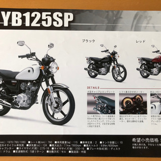 希少】YB125SP 赤