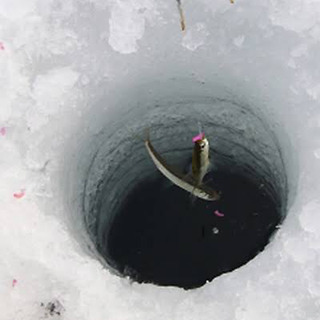 わかさぎ釣り　仲間募集