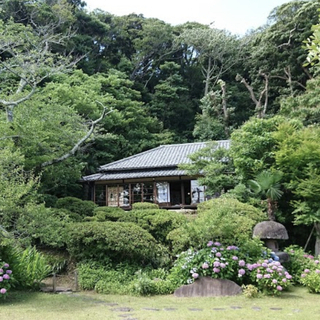 11/17(日)　マナビノキ　キャリアde 探究　美術館の裏側をさぐろう！ - 鎌倉市