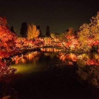 京都photo散歩 カメラ会 11/16 蹴上インクライン、天授庵&永観堂ライトアップの画像