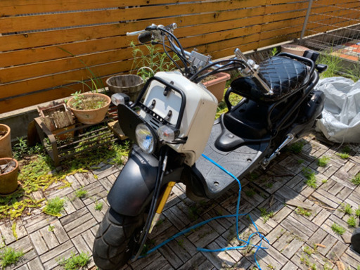 ズーマー ロンホイ 値下げ 黄色ナンバー ホンダ | juniorssantperemd.com
