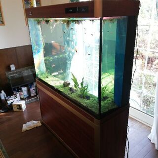 120cm 大型オーバーフロー水槽