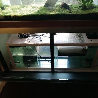 120cm 大型オーバーフロー水槽