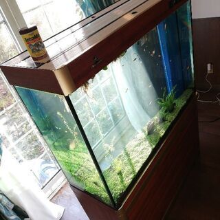 120cm 大型オーバーフロー水槽