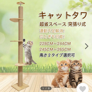 キャットタワー　ハンモック付き