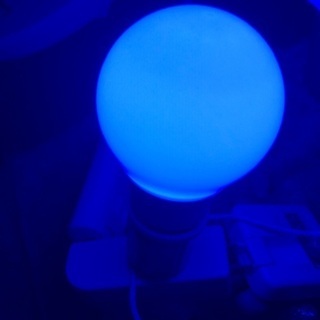 ブルーに光る電球(お譲りの方決まりました)