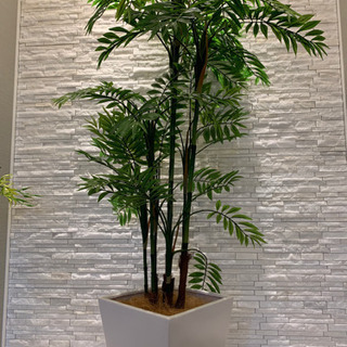 討論 無視できる 容器 浦安 観葉 植物 Ictsolution Jp