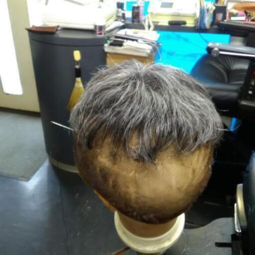 男性カツラ、ウィッグ83600 税込 【公式通販】
