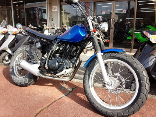 NO.2951　ＴＷ２００Ｅ　セル付き　スカチューン　スーパートラップマフラー　アップハンドル　ブルーメタリック　☆彡