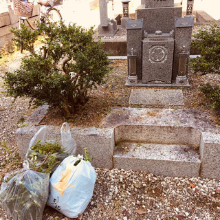 堺市鉢が峯のお墓の年末のお掃除