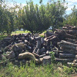 薪売ります！乾燥済（樫・楢・その他）