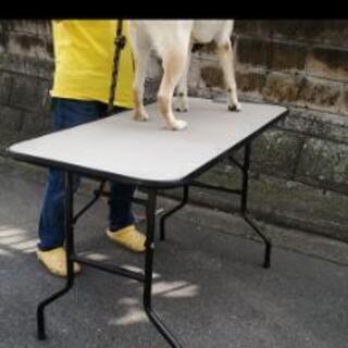 大型犬　トリミングテーブル