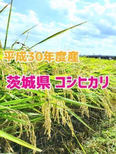 【限定1袋】平成30年度 茨城県産コシヒカリ 30kg 【古米】