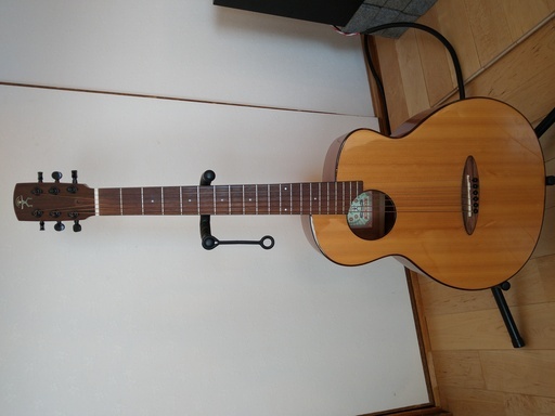 aNueNueFeatherBird aNN-M12アヌエヌエバードギターM12 うき aNueNueFeatherBird aNN-M12アヌエヌエバードギターM12 うき