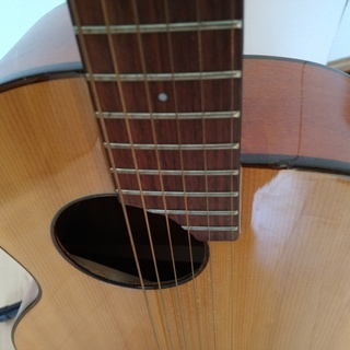 弦楽器、ギター aNueNue Bird Guitar aNN-M12 ミニアコースティックギター
