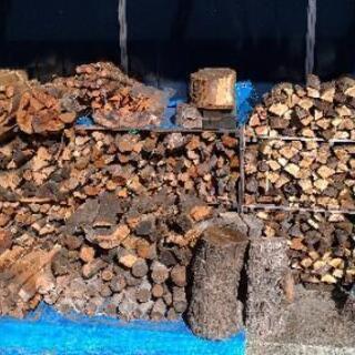 【薪・木材】約800本、キャンプ・BBQ・薪ストーブに