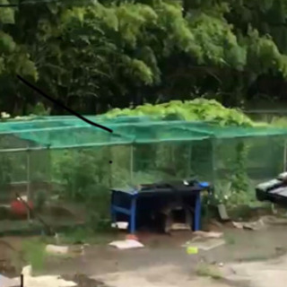 単管パイプ、自在クランプなどセットで