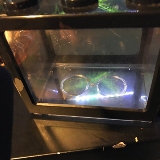 熱帯魚用LEDライト付き水槽