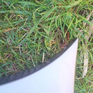 bB NCP35前期 アフェクション!サイドステップ