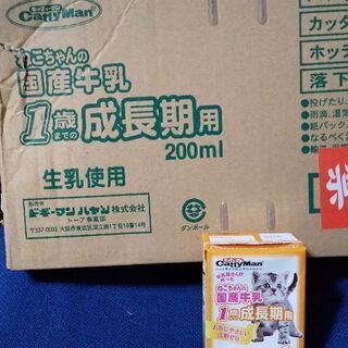 ★★もらってください★★ 子猫用ミルク 22パック 賞味期限20...