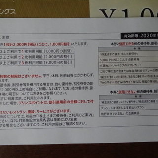 最新 西武ホールディングス 共通割引券 20枚 有効期限：2020年5月31日