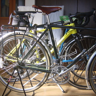 アラヤ　ランドナー