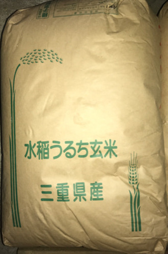 令和元年産コシヒカリ