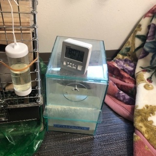 チンチラゲージセット