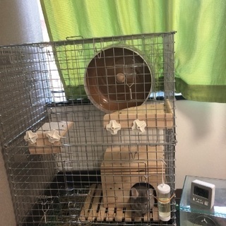 非売品 チンチラケージ ケージ 小動物用ケージ 120cm - poumonquebec.ca