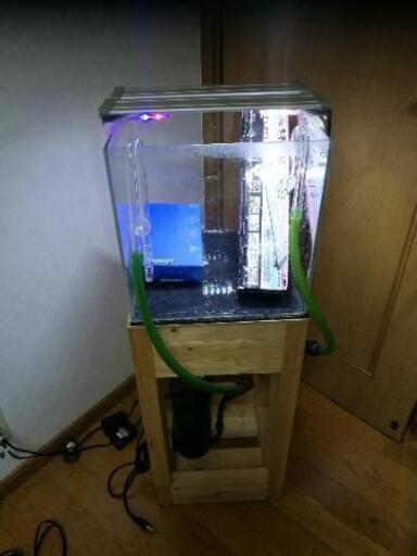 週末まで値下げ予定　ADA 水槽セット