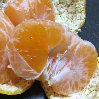 ラスト1箱🍊訳あり🍊紀州和歌山下津産の極早生みかん10キロ🍊1200円