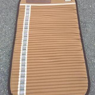 リッチウェイ バイオマット ミニ