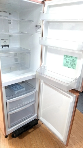 冷蔵庫 大きめ2ドア お部屋が明るくなるアプリコットゴールド 256L