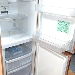 冷蔵庫 大きめ2ドア お部屋が明るくなるアプリコットゴールド 256L