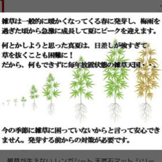 最終価格 防草レンガ 24セット