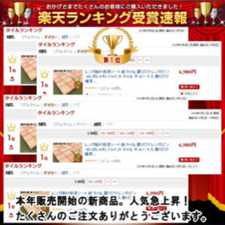 最終価格 防草レンガ 24セット