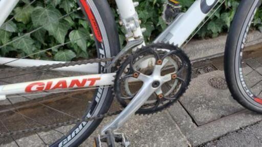 1日限定割引中』GIANT OCR3300 Sサイズ