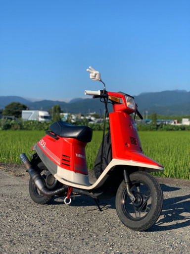 ペリカンジョグ