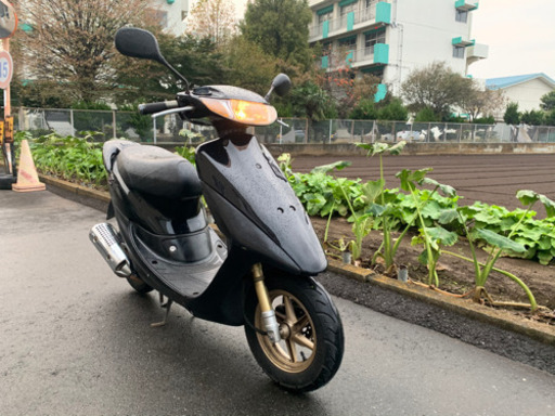 ホンダライブディオzx 関東園内配送可❗️