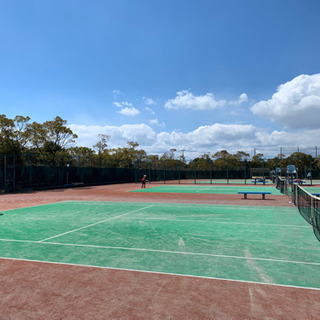 ジュニア富浜カップ(硬式テニス)の画像