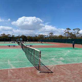 ジュニア富浜カップ(硬式テニス) - スポーツ