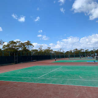 ジュニア富浜カップ(硬式テニス) - 弥富市