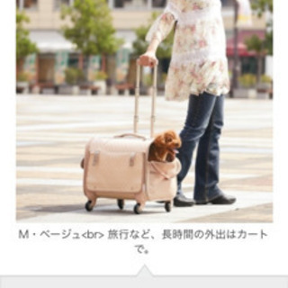 値下げしましたペピィのキャリー 犬用 1度だけ使用