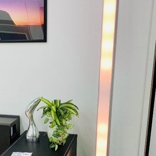 コイズミの縦長フロアスタンドを入荷致しました！