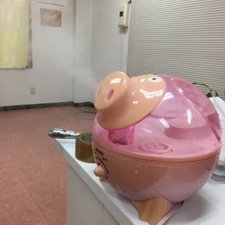 豚の加湿器(決定致しました！)